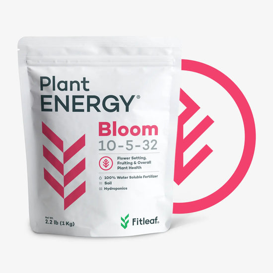 Plant ENERGY® Bloom